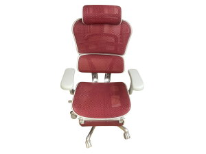 ���G���S�q���[�}���v���I�b�g�}��2 Ergohuman Pro Ottoman2 �I�t�B�X�`�F�A ���b�V�� �O���[×���b�h �l�ԍH�w�݌v ���@�\�`�F�A