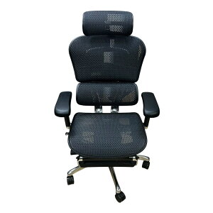 �����G���S�q���[�}���v��2 �I�b�g�}������ DR Ergohuman Pro 2 ���b�V�� �I�t�B�X�`�F�A �u���b�N ���A�[�� ���~ ���N���C�j���O