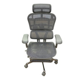 ■▲Ergohuman エルゴヒューマンプロ2 ハイタイプ DR オフィスチェア メッシュチェア オットマン付 リクライニング 昇降機能 動作確認済 使用感あり2380728