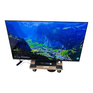 ��REGZA 55X8900N 55V�^ �L�@EL�e���r 2024�N�� �����R�� �d���P�[�u���t ����ǍD �g�p������2481272