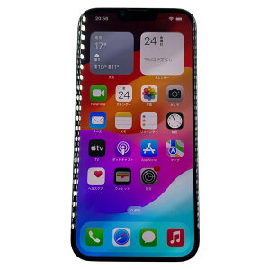 ��iPhone 13 Pro Max 256GB SIM�t���[ MLJD3J/A �o�b�e���[92% ����m�F�� IMEI�����2510941
