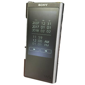 ��SONY NW-ZX300 64GB �E�H�[�N�}�� �n�C���]�Ή� Bluetooth�Ή� �f�W�^���I�[�f�B�I�v���[���[ �u���b�N2612331