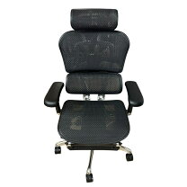 エルゴヒューマン プロ エルゴヒューマン Ergohuman 2025年新型 レビュー特典あり プロ2 Ergohuman Pro2