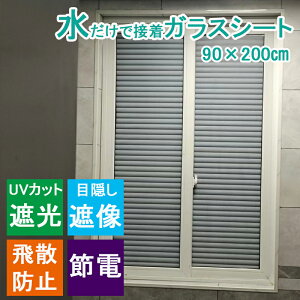 ډBV[g KXtB 90×200cm ܂ ՌV[g 䕗΍ nk΍ KXV[g SډB Ih~V[g Uh~ UVJbg KX tB ͂ ptB fMV