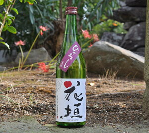 聄Ԋ_@ā@Ђ₨낵 720mlr ȂiLj암𑢁A䌧sjȂiȂ̂ł̂Eɂ͕ʓrオKvłBH2000{̔C[J[̓s