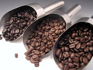 eBuk򍡌̂߃uhI11̃uhy200gpbNz