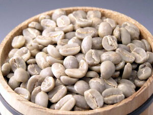 pvAj[MjA}Eg ECwy500gpbNz