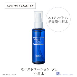 CXg[V WL ϐ  GCWOPA ێϐ XL[V N 30 40 50  GCWOPAϐ egf fgf A GLX Ci[hC ьPA L p