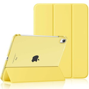 X[p[SALEԔziŐV^ 2025 iPad 11 P[X iPad 10 P[X  iPad 10.9C` P[X 2022 iPad 10 P[X PC y[ iPad 10.9 \ 2022 10.9 10 Jo[ 