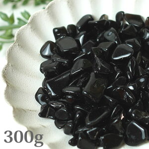 I() VR΂ 300g `bv 򉻃ObY p[Xg[ VR  [I   