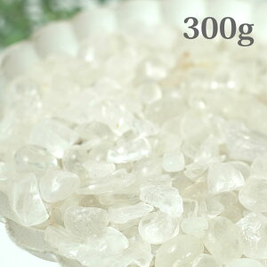 y򉻂ɂ߁zq} }jJzRY VR΂ 300g `bv  򉻃ObY p[Xg[ VR 