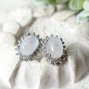 [Xg[ sAX C{[[Xg[ ChYzCguhCg SV925 VR p[Xg[ 6̒a