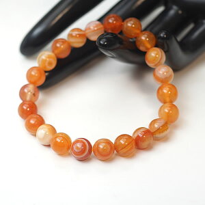 ԓV 8mm uXbg bhACAQ[g T[hIjLXԂ߂̂ V VR p[Xg[ 8̒a  ƒ~ vw~  