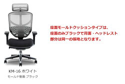 エルゴヒューマン
