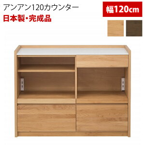 yJݒuz Lb`JE^[ Lb`[ i { ʉ 120cm AA120JE^[ xc؍H hotta woody V嗝 RZg ؐ A_[