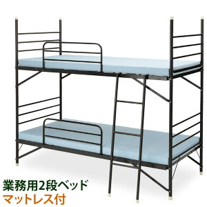 2ixbh }bgXt Ɩp X`[xbh ixbh E^}bgX×2 hF  h h  ItBX  ҍ   ϋv IBS-203{IBM-301×2 y@llz