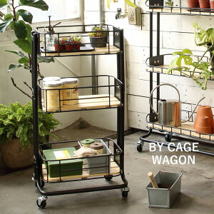 S 3i LX^[t Mash BY CAGE WAGON (r[CP[WS) BCW-440 Lb`S [ }bV X`[ ACA ICXeC k  mX^WbN