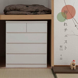 ꂽ 75cm s65cm 4i zCg SA-0025 BLX^[ { i [`FXg [ N[[bg[  ߗ m^X ^X