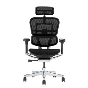 �G���S�q���[�}�� �v��2 �n�C�^�C�v DR �V��� �_�u�����N���C�j���O Ergohuman EHP2-HAM-DR PRO2 High Type �������[���b�L���O ���N���C�j���O���b�N ���b�V���`�F�A �I�t�B�X�`�F�A �w�b�h���X�g ��
