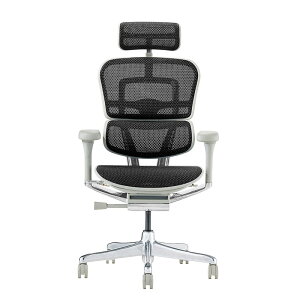 �G���S�q���[�}�� �v��2 �n�C�^�C�v DR �V��� �_�u�����N���C�j���O Ergohuman EHP2-HAM-DR PRO2 High Type �������[���b�L���O ���N���C�j���O���b�N ���b�V���`�F�A �I�t�B�X�`�F�A �w�b�h���X�g ��