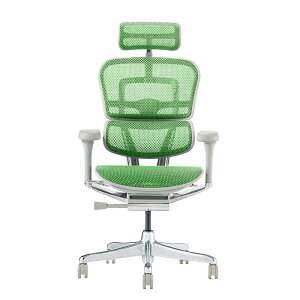�G���S�q���[�}�� �v��2 �n�C�^�C�v DR �V��� �_�u�����N���C�j���O Ergohuman EHP2-HAM-DR PRO2 High Type �������[���b�L���O ���N���C�j���O���b�N ���b�V���`�F�A �I�t�B�X�`�F�A �w�b�h���X�g ��