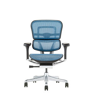 �G���S�q���[�}�� �v��2 ���[�^�C�v DR �V��� �_�u�����N���C�j���O Ergohuman EHP2-LAM-DR PRO2 Low Type �������[���b�L���O ���N���C�j���O���b�N �f�X�N�`�F�A �I�t�B�X�`�F�A ���[�J�[�ۏ؍Œ�5