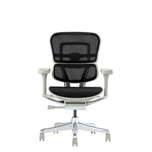 �G���S�q���[�}�� �v��2 ���[�^�C�v DR �V��� �_�u�����N���C�j���O Ergohuman EHP2-LAM-DR PRO2 Low Type �������[���b�L���O ���N���C�j���O���b�N �f�X�N�`�F�A �I�t�B�X�`�F�A ���[�J�[�ۏ؍Œ�5