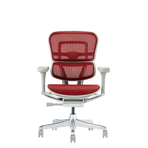 �G���S�q���[�}�� �v��2 ���[�^�C�v DR �V��� �_�u�����N���C�j���O Ergohuman EHP2-LAM-DR PRO2 Low Type �������[���b�L���O ���N���C�j���O���b�N �f�X�N�`�F�A �I�t�B�X�`�F�A ���[�J�[�ۏ؍Œ�5