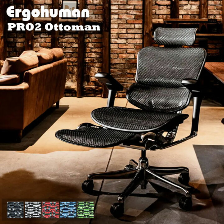 楽天市場】【ポイント20倍】 Ergohuman エルゴヒューマン プロ2  