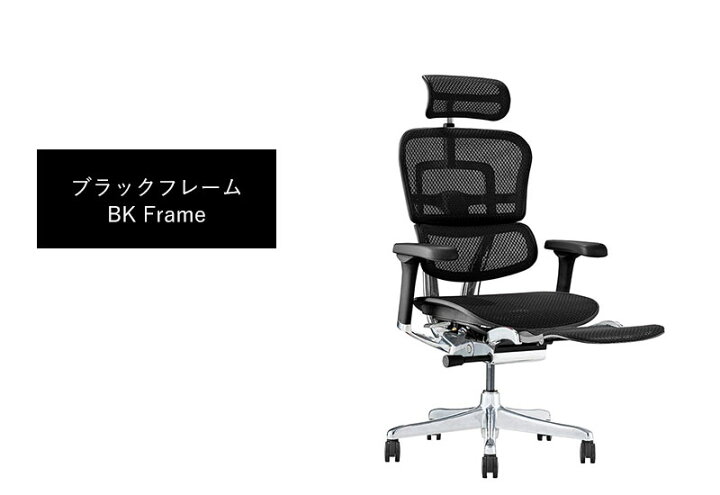 楽天市場】エルゴヒューマン プロ2 オットマン DR 新基盤 ダブル 