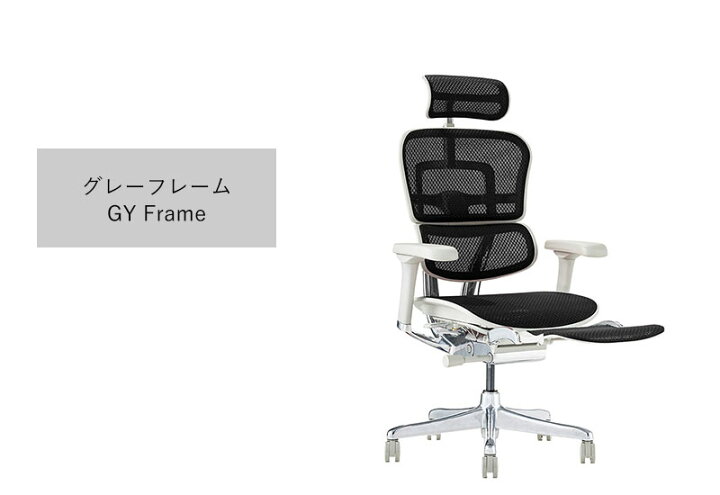 楽天市場】【ポイント20倍】 Ergohuman エルゴヒューマン プロ2 