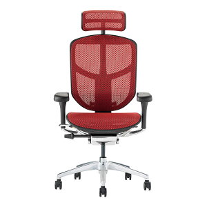 GSq[} GWC2 nC^Cv Ergohuman ENJOY2 High Type EJ2-HAM V^ bV`FA @\ \ `FA[ fXN`FA ItBX`FA OX`g wbhXg [J[ۏ؍Œ5