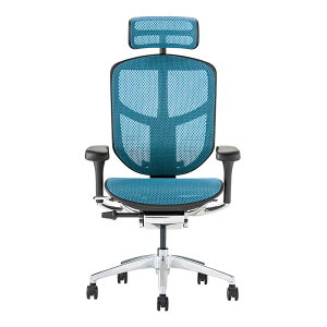 GSq[} GWC2 nC^Cv Ergohuman ENJOY2 High Type EJ2-HAM V^ bV`FA @\ \ `FA[ fXN`FA ItBX`FA OX`g wbhXg [J[ۏ؍Œ5