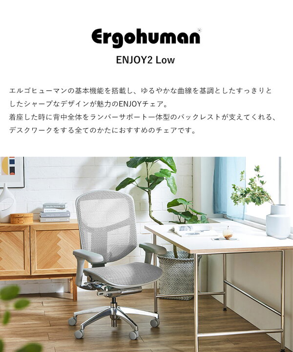楽天市場】【ポイント20倍】 エルゴヒューマン エンジョイ2 ロータイプ 