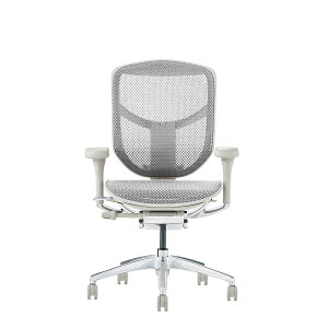 GSq[} GWC2 [^Cv Ergohuman ENJOY2 Low Type EJ2-LAM V^ bV`FA @\ \ `FA[ fXN`FA ItBX`FA XeXo[T|[g [J[ۏ؍Œ