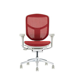 GSq[} GWC2 [^Cv Ergohuman ENJOY2 Low Type EJ2-LAM V^ bV`FA @\ \ `FA[ fXN`FA ItBX`FA XeXo[T|[g [J[ۏ؍Œ