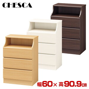 `FXg o[ `FXJ 60×90.9cm CSC-9060H CHESCA  ^X ߗގ[ m er er`FXg