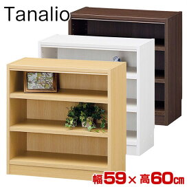 本棚 オープンラック タナリオ 幅59×高60cm TNL-6059 Tanalio ブックシェルフ 壁面本棚 カラーボックス 本棚 本収納