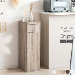 _Xg{bNX 45L ^ 25cm ݔ S~ ؐvbV_Xg{bNX EmproiGv[j ؖڒfUC X ȃXy[X  vbV S~ B Ȃ rO L