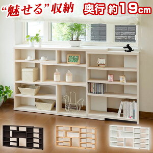 JE^[[ [bN fUCVFt (Lk) { CD DVD R~bN[ ECbN ECR8012S X^Cv(s19.3cm) JE^[bN Lb`[ rO[ JE^[