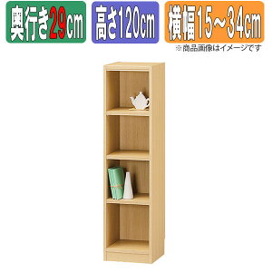 TCYI[_[bN 1cmP { ^iI ysʏ^29cmz×y120cmz×y15`34cmz {I I[_[ ʒ  I bN VFt Tanalio TNL I[_[TCY I[_[C