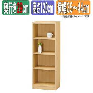 サイズオーダーラック 幅1cm単位 日本製 タナリオ 【奥行通常型29cm】×【高さ120cm】×【横幅35〜44cm】 本棚 オーダー 別注 特注 整理棚 ラック シェルフ Tanalio TNL オーダーサイズ オーダーメイ