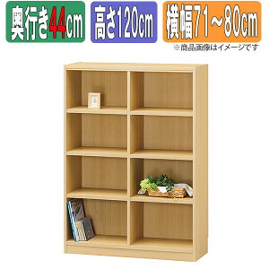 TCYI[_[bN 1cmP { ^iI ys[^44cmz×y120cmz×y71`80cmz {I I[_[ ʒ  I bN VFt Tanalio TNL I[_[TCY I[_[Ch