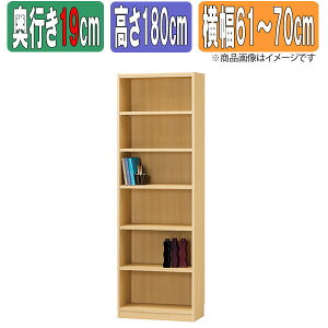 サイズオーダーラック 幅1cm単位 日本製 タナリオ 【奥行浅型19cm】×【高さ180cm】×【横幅61〜70cm】 本棚 オーダー 別注 特注 整理棚 ラック シェルフ Tanalio TNL オーダーサイズ オーダーメイド