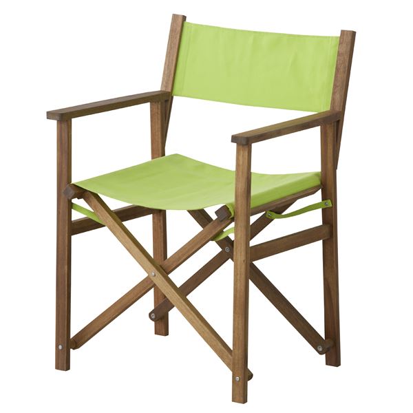 いろいろな場所で使える便利な折り畳み椅子 75%OFF チェア 最大54％オフ！ 折りたたみディレクターチェア Patio パティオ 屋外 緑 NX-601GR グリーン アウトドア ガーデン