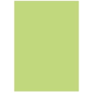 (業務用5セット) 北越製紙 カラーペーパー/リサイクルコピー用紙 【B4 500枚×5冊】 日本製 グリーン(緑) 送料無料
