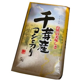 【ポイントUP】【令和3年度】千葉県 コシヒカリ 10kg 白米