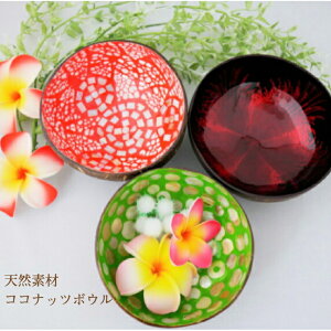 y܂tzAsian plate RRibc {E   V V̎ Lk {[ lC ʌ v[g