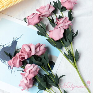 o [Y  ԑ   AeB[N Be Be ʐ^  G CeA zCg IW u[ sN ؍ ؍CeA Malymoon@}[[yK010z