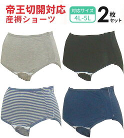 帝王切開用 産褥ショーツ 2枚 前開き 2枚組産褥ショーツ 全開タイプ 4L-5Lサイズ 出産準備 入院準備 2枚組 悪露 産後 産褥 ママ セット 大きい サイズ 帝王切開 メール便送料無料